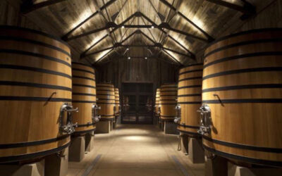 Winemaker for a Day: Hands-On Wine Blending Tours in Napa Valley