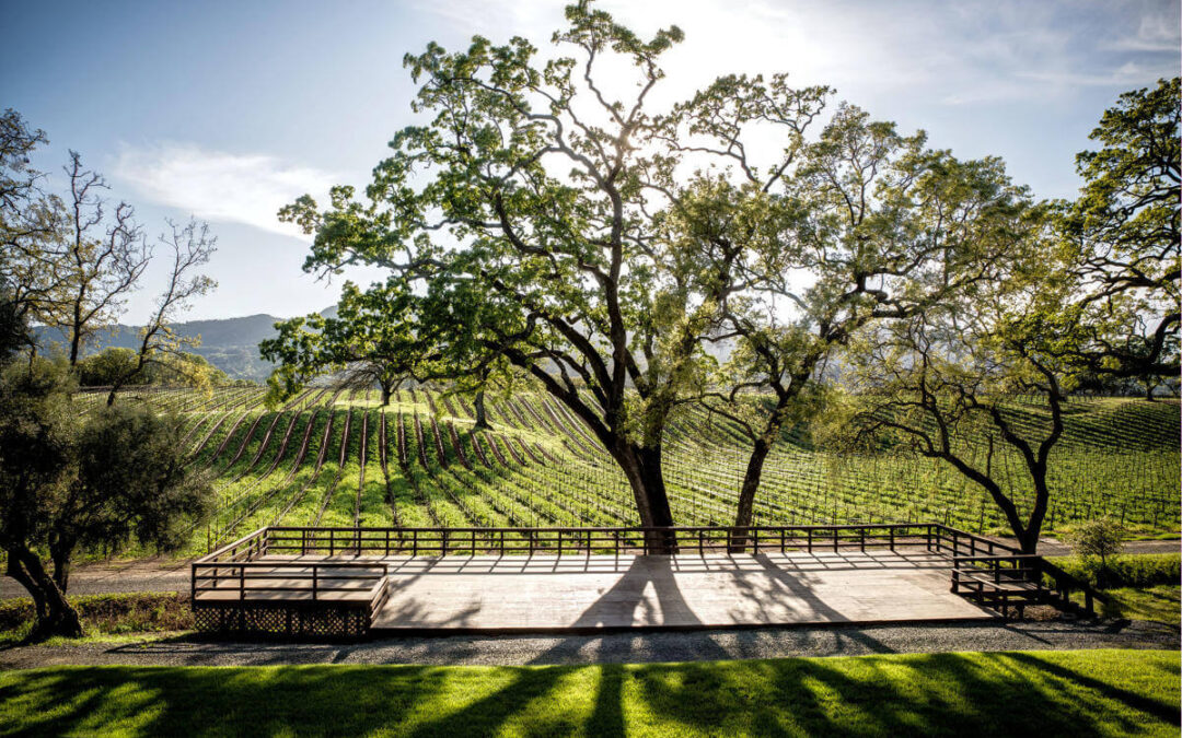 Luxury Sonoma Wine Tour With Lunch: Farm-to-Table Stops & Timing
