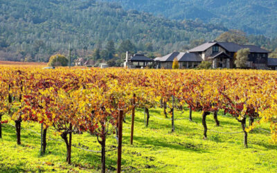 Best Shopping in Northern California Wine Country