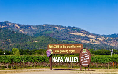 Highlights of a Private & Customized Napa Valley Wine Tour