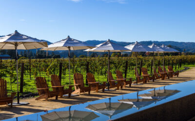 Understanding Napa Valley Wine Tour Pricing: What Defines a Luxury Experience
