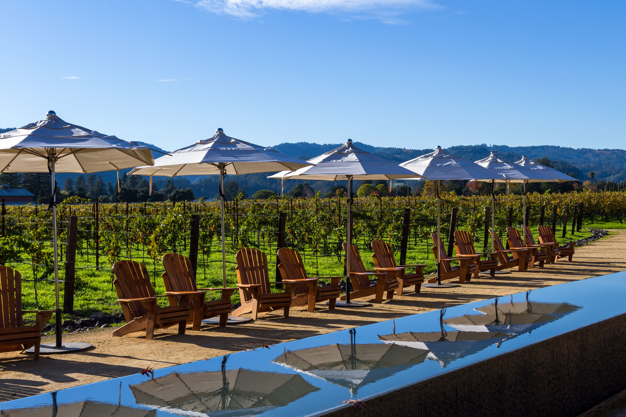 luxury Napa wine tasting experience