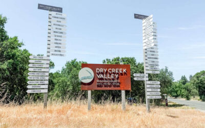 Healdsburg Wine Tour Itinerary: Dry Creek + Russian River in One Day