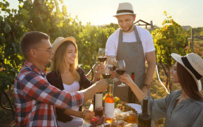 Sonoma Valley Wine Tour Experiences: The Complete Planning Guide