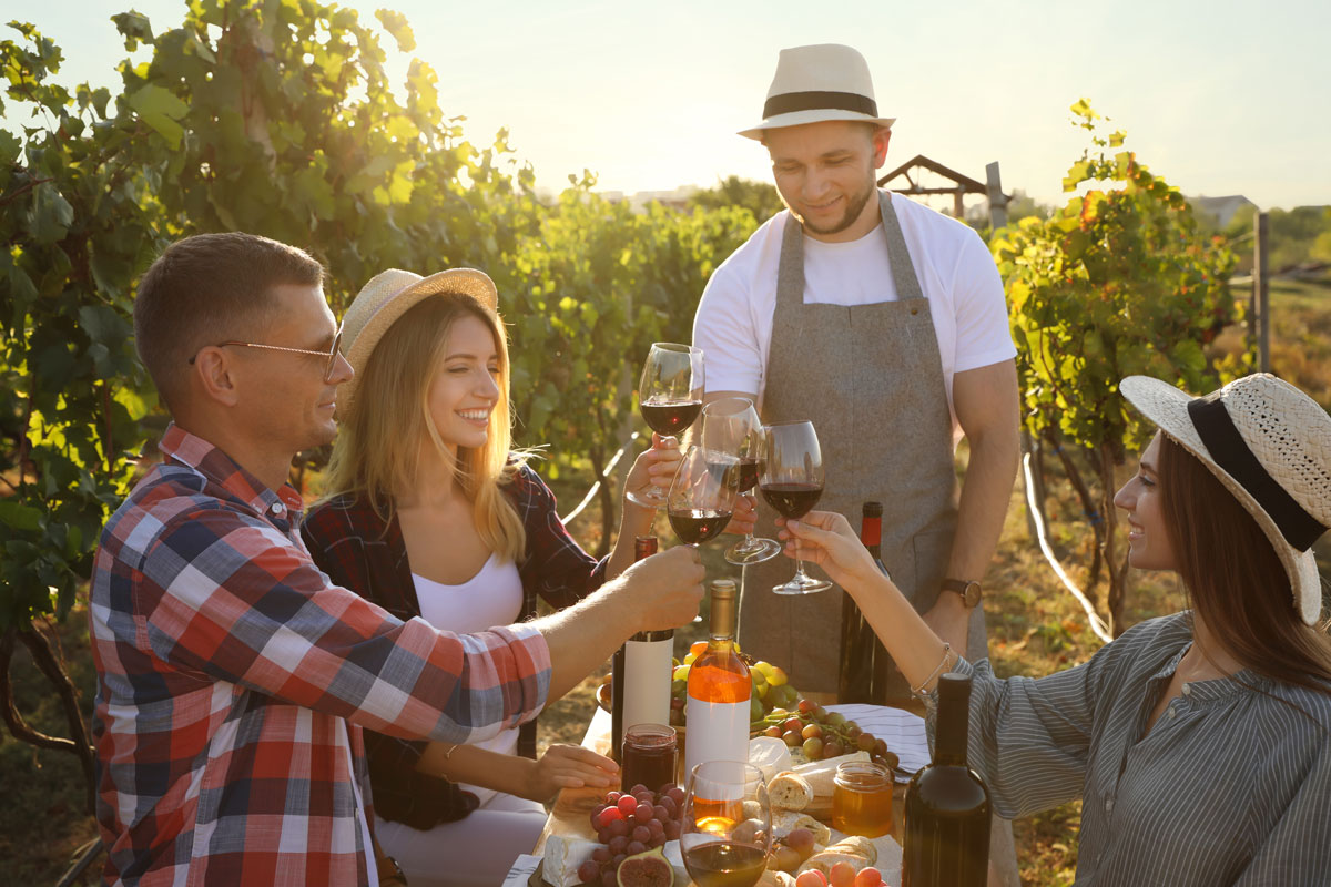 sonoma valley wine tasting in the vineyards