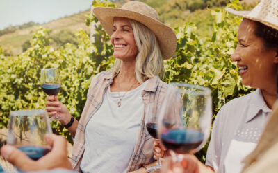 Healdsburg vs Sonoma Plaza: Where to Stay for Wine Touring
