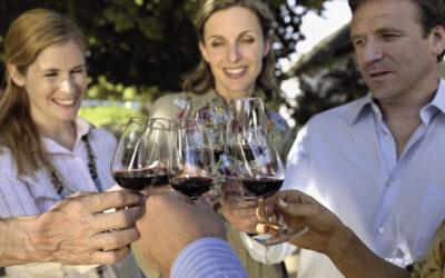 Russian River Valley Pinot Noir Tour: Route + Reservation Tips