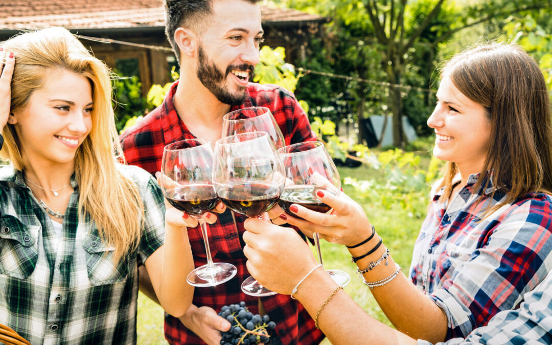 Private Sonoma Wine Tours: Pros, Pricing, and Who It Fits